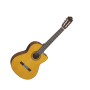 YAMAHA CGX122MSC